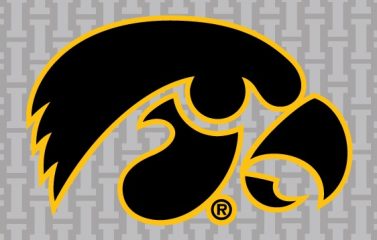 Hawk-Fanatic-Iowa-Hawkeyes-hawk-logo