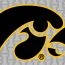 Hawk-Fanatic-Iowa-Hawkeyes-hawk-logo