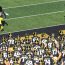Swarm