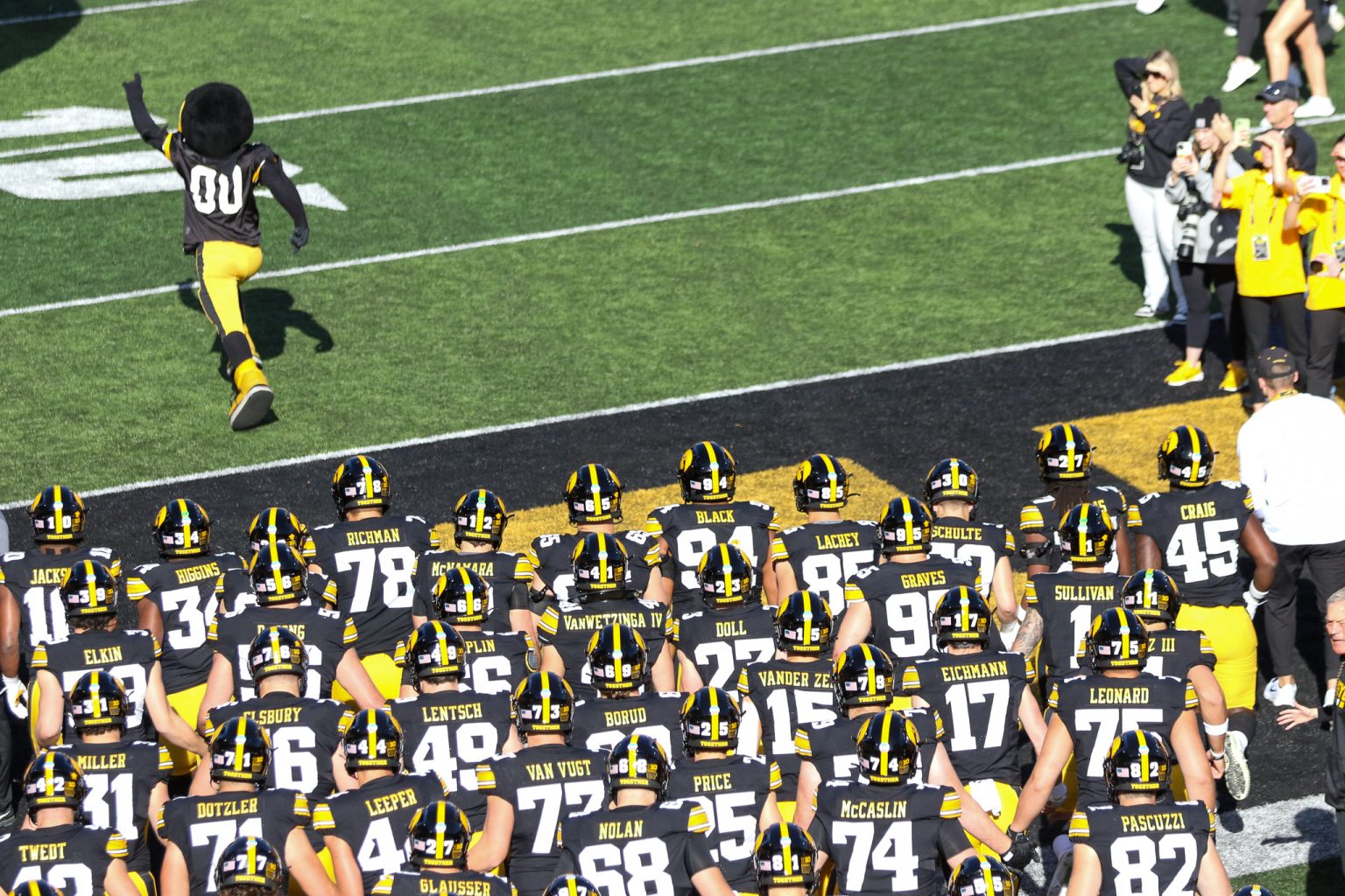 Best News Ever: Free Hawaii Home Football Games In 2025! - zay1f3u