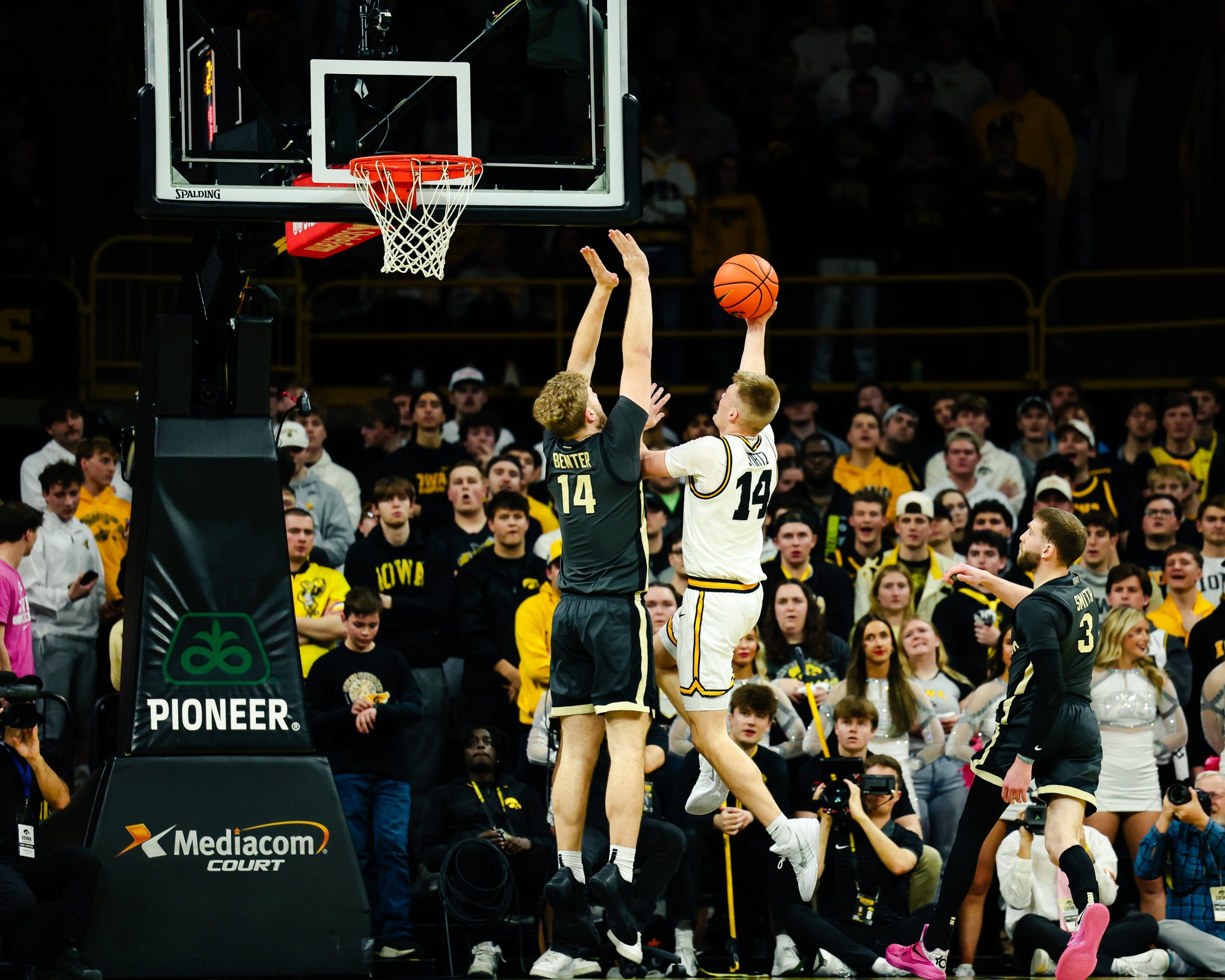 stirtz purdue drive