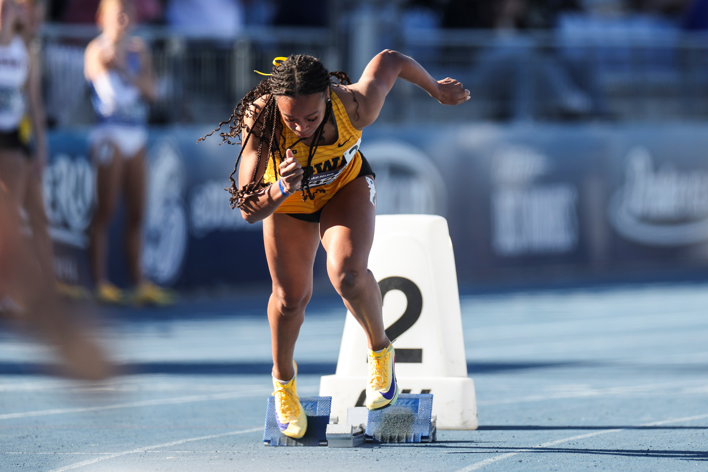 arianna williams
