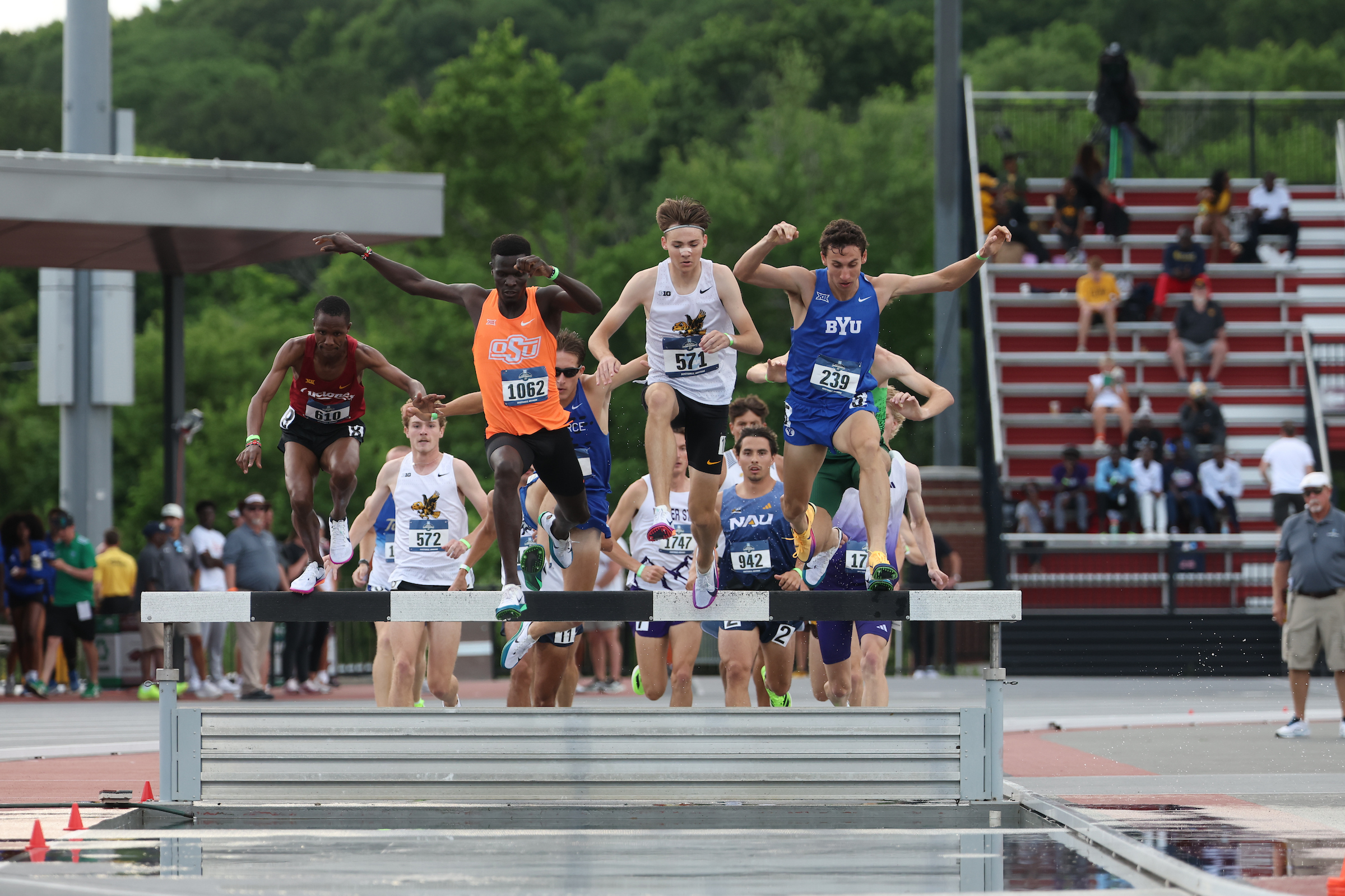 steeplechase dude