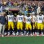 gopher swarm
