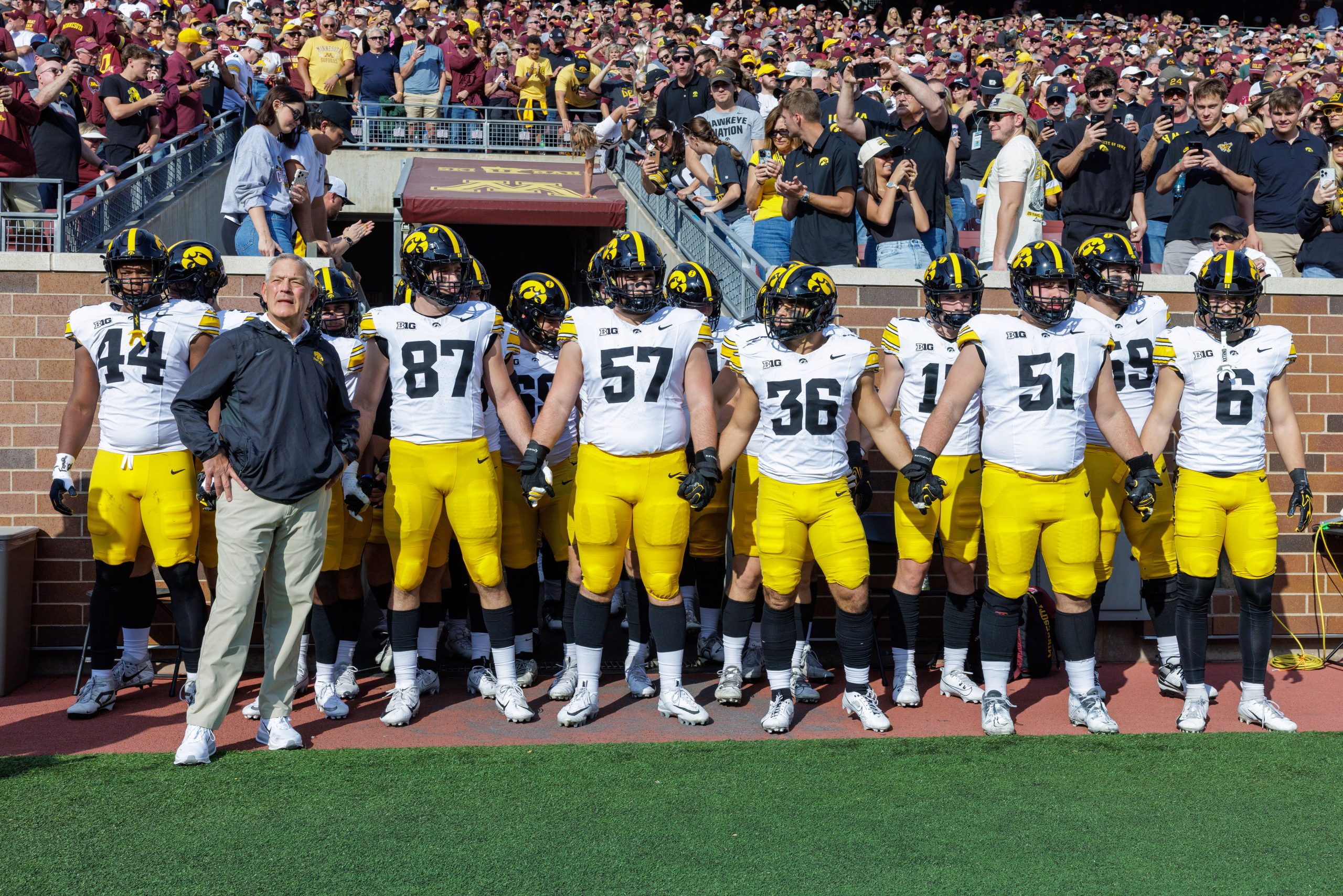 gopher swarm